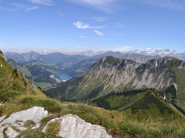 Rochers-de-Naye, août 2010. Vues spectaculaires sur Préalpes, Alpes et Léman, marmottes pas farouches, fleurs de tous les continents et choucas acrobates à 2045m d'altitude...