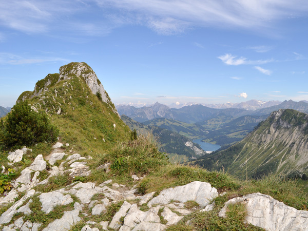 Rochers-de-Naye, août 2010. Vues spectaculaires sur Préalpes, Alpes et Léman, marmottes pas farouches, fleurs de tous les continents et choucas acrobates à 2045m d'altitude...