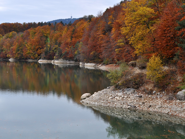 Le lac de Gruyère en automne, 30 octobre 2010.