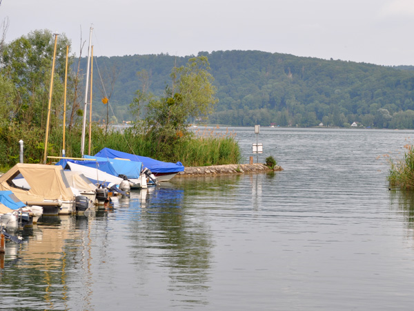 Balade à Cerlier (Erlach), à l'extrémité ouest du lac de Bienne. Région des Trois-Lacs, 3 juin 2011.