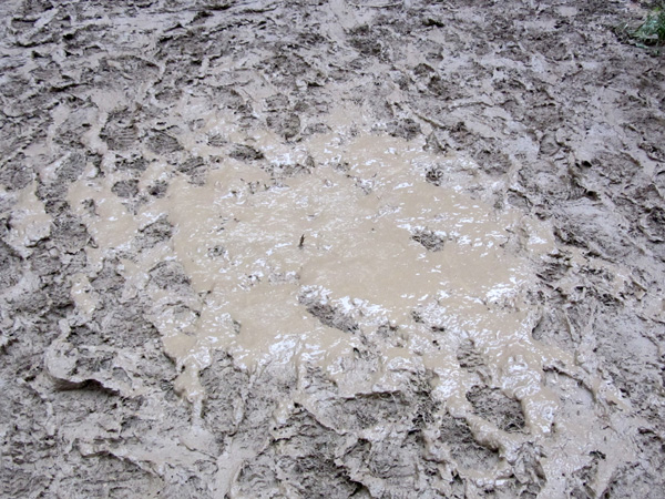 Paléo Festival 2011, Nyon: Ambiances boueuses et humides...