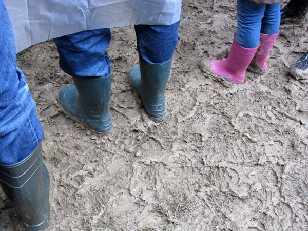 Paléo Festival 2011, Nyon: Ambiances boueuses et humides...