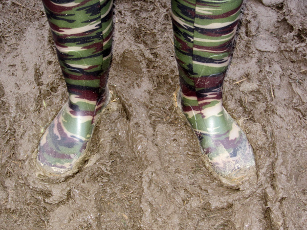 Paléo Festival 2011, Nyon: Ambiances boueuses et humides...