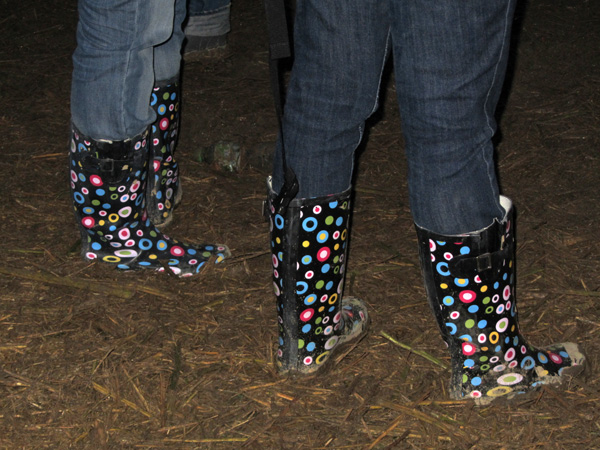 Paléo Festival 2011, Nyon: Ambiances boueuses et humides...
