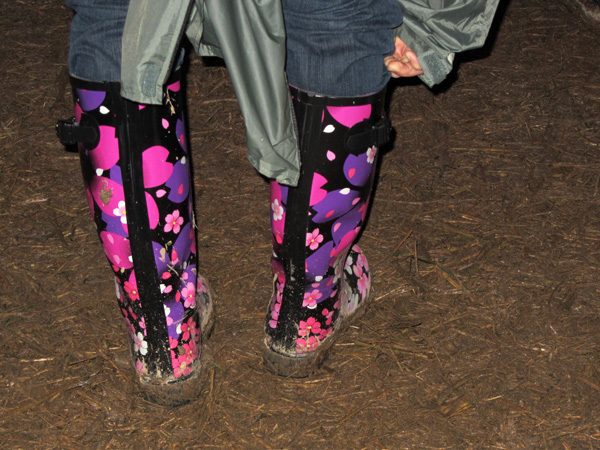 Paléo Festival 2011, Nyon: Ambiances boueuses et humides...