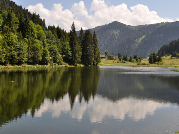 Le Pas de Morgins, un biotope à la frontière franco-suisse juste au-dessus de Morgins, 1er août 2011.