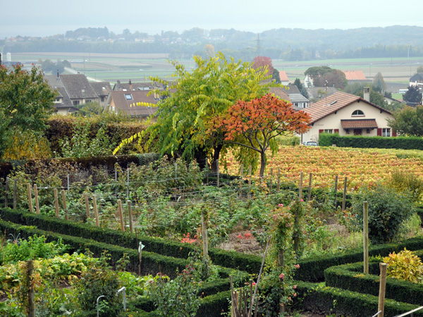 Le village vigneron de Bursins, sur La Côte, octobre 2011.