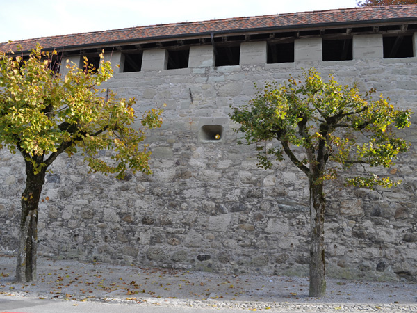Balade sur les remparts et dans la ville médiévale de Romont, octobre 2011.