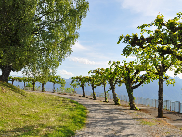 Caux-sur-Montreux, juin 2012.