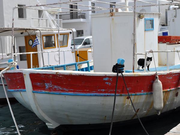 Naoussa, Paros, Cyclades, avril 2013.