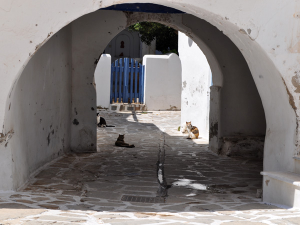 Au village d'Antiparos, Cyclades, avril 2013.