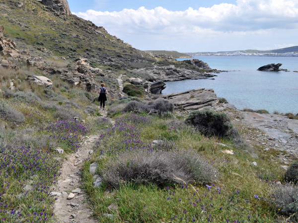 Parc Environnemental et Culturel de Paros, péninsule dAgios Ioannis Detis (au nord-ouest de la baie de Naoussa), avril 2013.