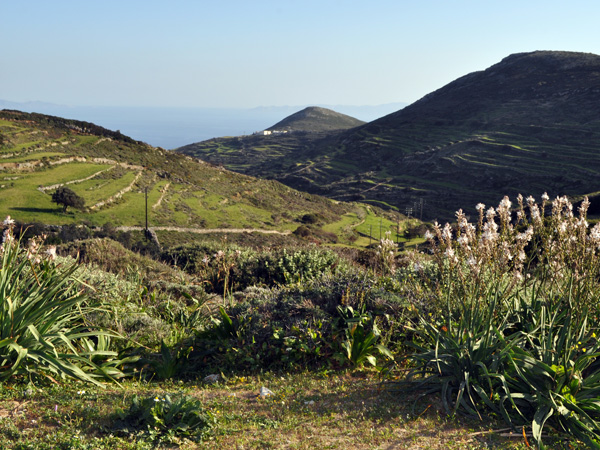 Paysage de Paros depuis la route non asphaltée descendant du mont Aghii Pantes vers le sud de Paros, avril 2013.