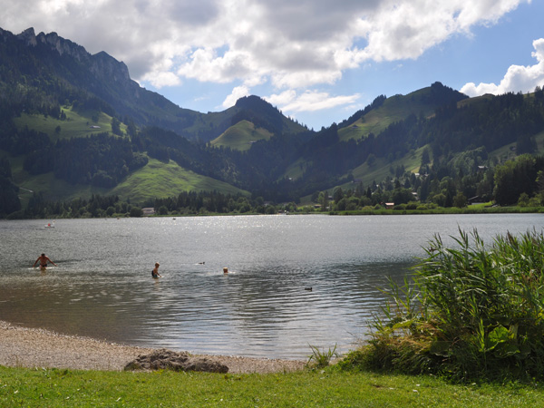 Schwarzsee (Lac Noir), at the source of the Sense River (Singine), August 2013.