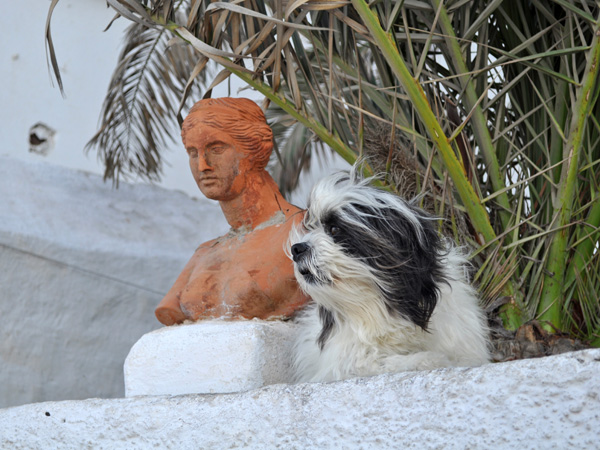 Amorgos (Cyclades), août 2013.
