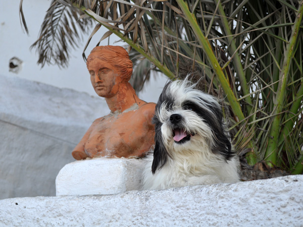 Amorgos (Cyclades), août 2013.