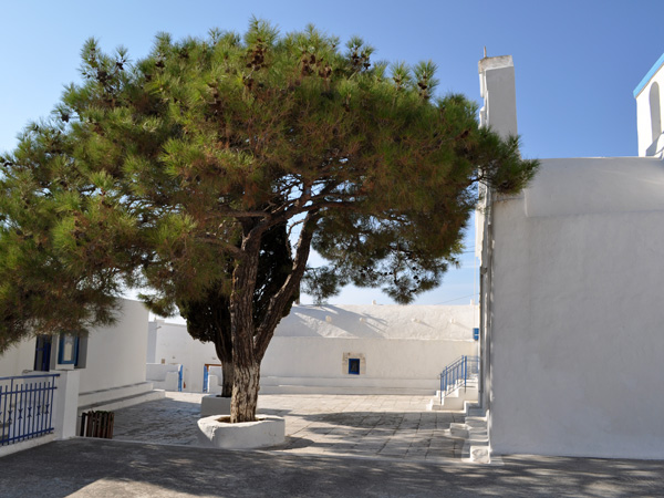 Lagadha, Amorgos (Cyclades), août 2013.