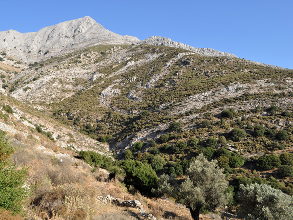 Naxos, août 2013. Mont Zas, point culminant des Cyclades (1001 m).