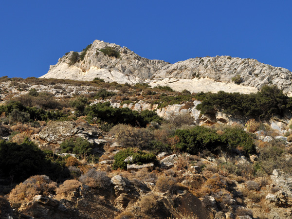 Naxos, août 2013. Près du mont Zas, point culminant des Cyclades (1001 m).