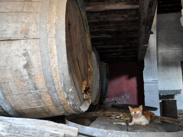 Halki, Naxos, août 2013.