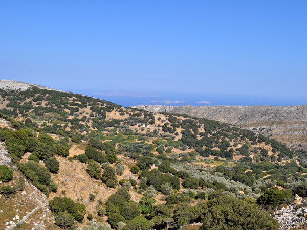 Naxos, ao&ucirc;t 2013.