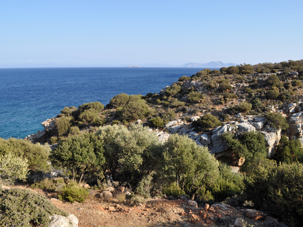 Près de Moutsouna, Naxos, août 2013.