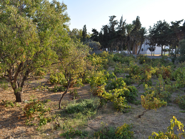 Parikia, Paros, septembre 2013.