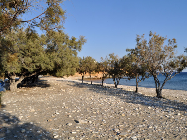 Plage de Ghlyfa, au sud de Paros, septembre 2013.