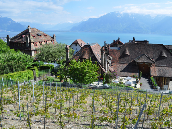 Chardonne (Lavaux), aux portes de Vevey et de la Riviera, mai 2014.