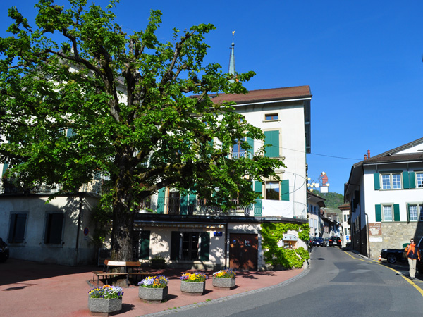 Riex, village vigneron de Lavaux, mai 2014.