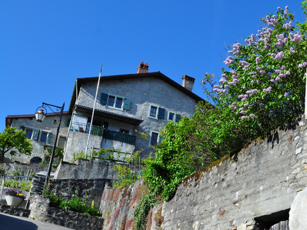 Riex, village vigneron de Lavaux, mai 2014.