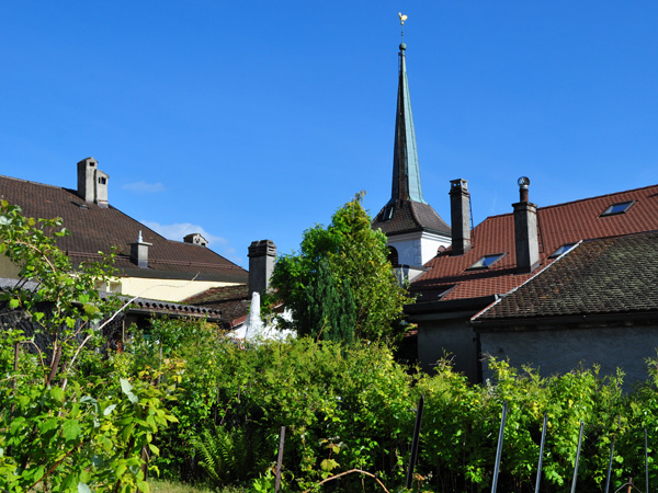 Riex, village vigneron de Lavaux, mai 2014.