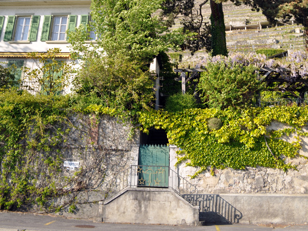 Treytorrens-en-Dézaley, hameau vigneron de Lavaux, mai 2014.