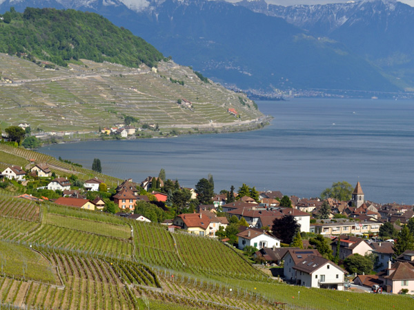 Cully seen from Grandvaux, May 2014.