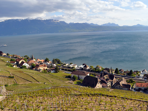 Villette, village vigneron de Lavaux, mai 2014.