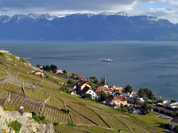 Villette, village vigneron de Lavaux, mai 2014.