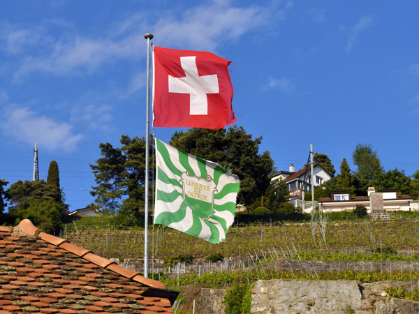 Aran, au-dessus de Villette, en Lavaux, mai 2014.