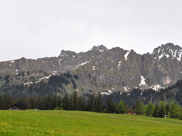 Sur la route du Col des Mosses, juin 2014.