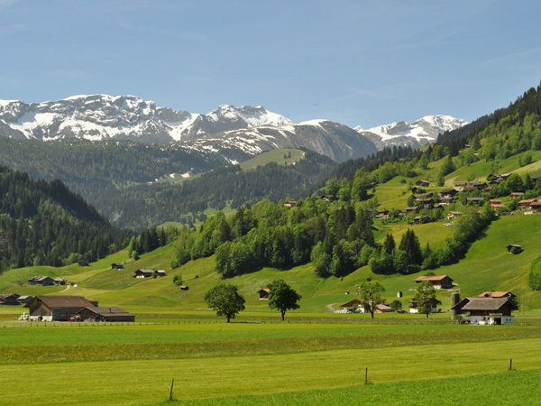 Lenk et environs, Berner Oberland, juin 2014.