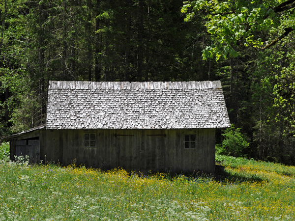 Lenk, Berner Oberland, juin 2014.