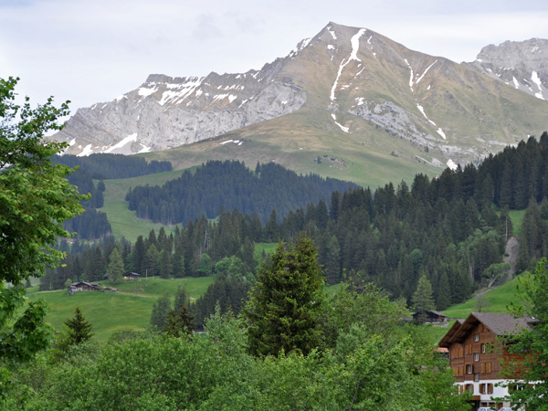 Adelboden, Berner Oberland, juin 2014.