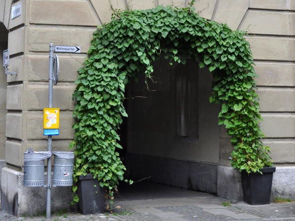 Balade en images à Berne durant Buskers Bern (festival des musiques de rue), août 2014.