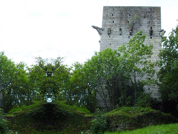 La Tour de St-Triphon, dressée au milieu de la Plaine du Rhône...